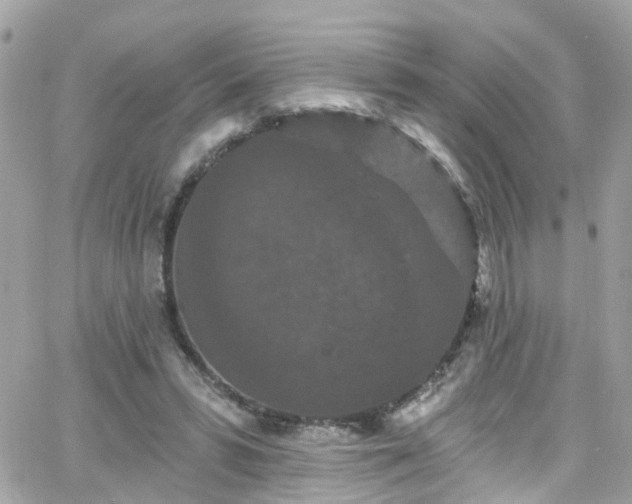 X0000066530399200603241407