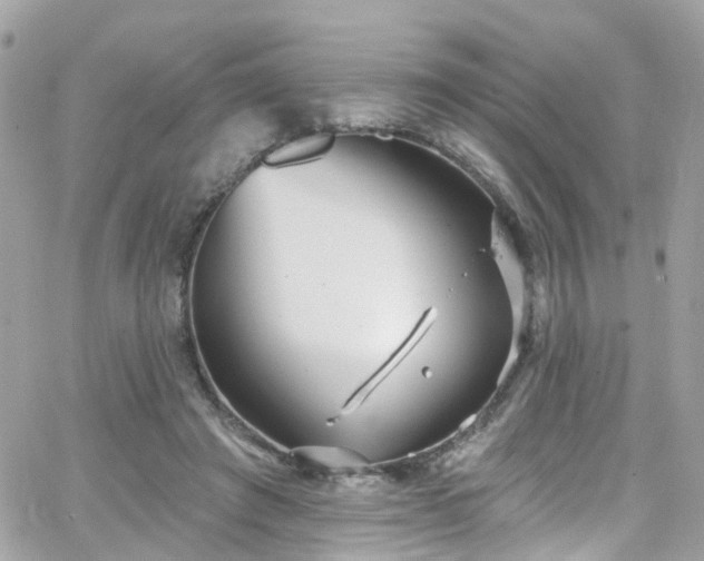 X0000066530401200603241407