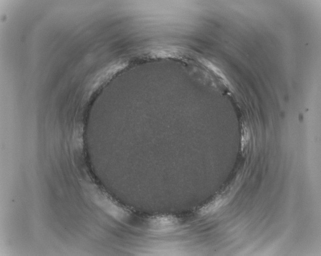 X0000066530402200603241407