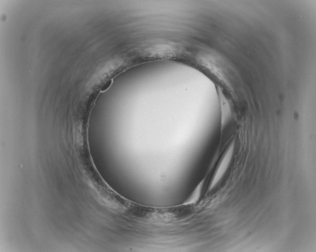 X0000066530403200603241407