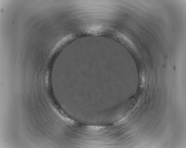 X0000066530404200603241407