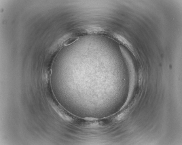 X0000066530405200603241407