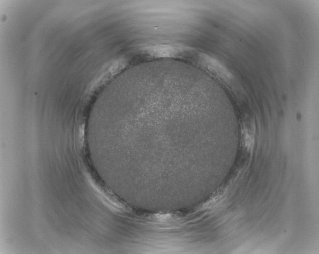 X0000066530406200603241407