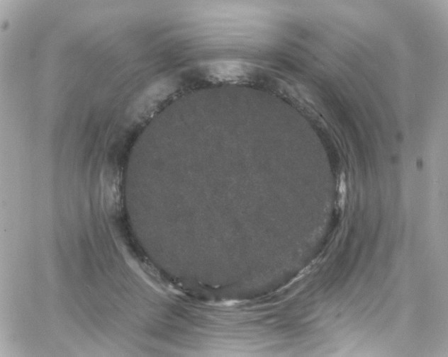 X0000066530408200603241407