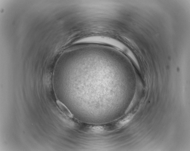 X0000066530409200603241407