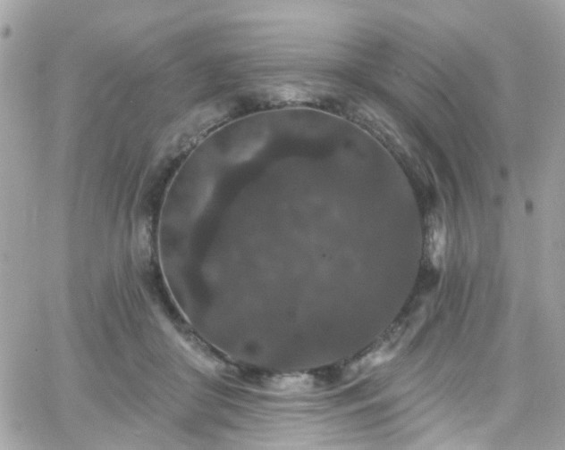 X0000066530410200603241407