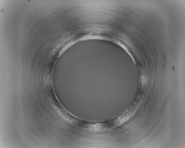 X0000066530411200603241406