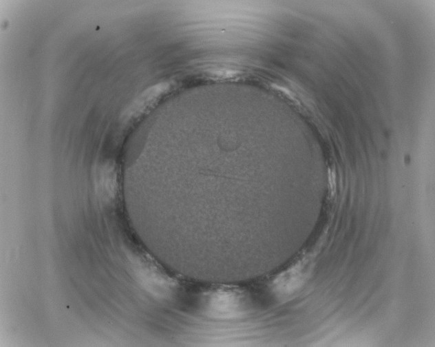 X0000066530412200603241406