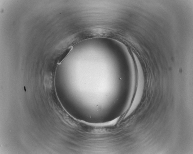 X0000066530413200603241406