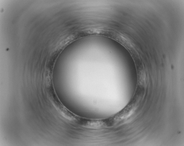 X0000066530414200603241406