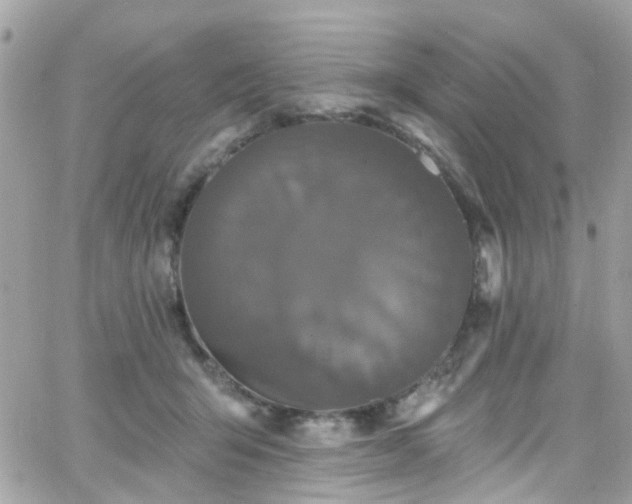 X0000066530415200603241406