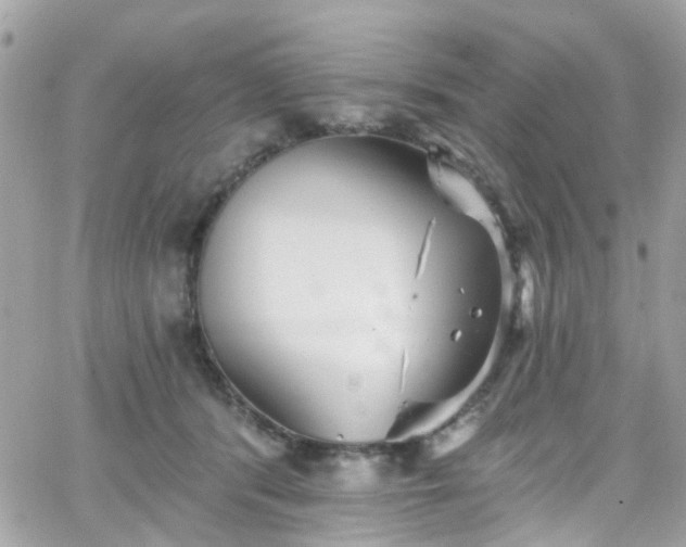 X0000066530416200603241406