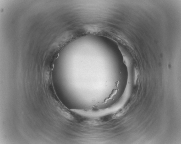 X0000066530417200603241406