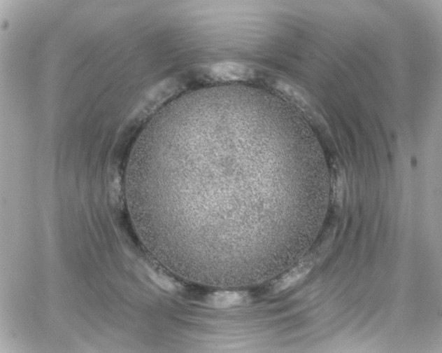 X0000066530418200603241406