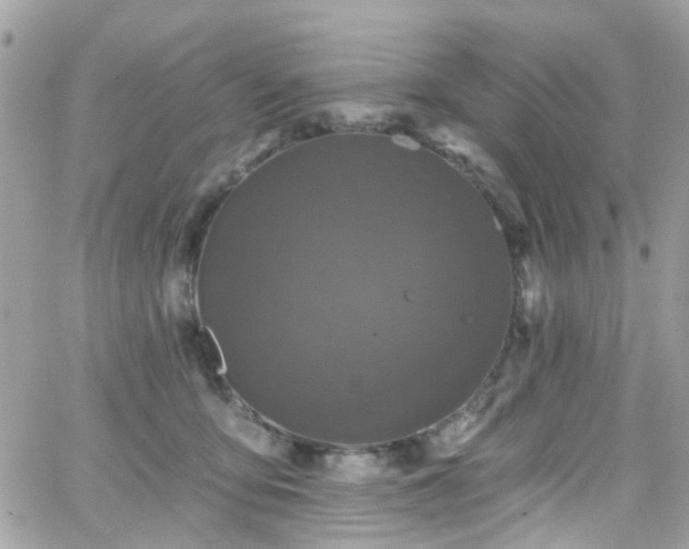 X0000066530419200603241406