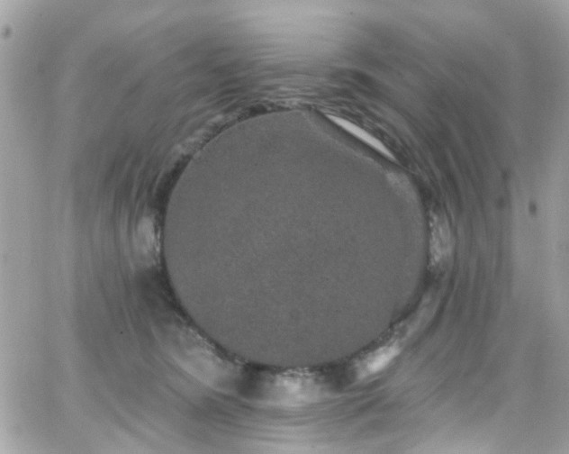 X0000066530420200603241406