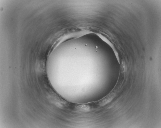 X0000066530421200603241406