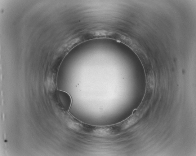 X0000066530422200603241406