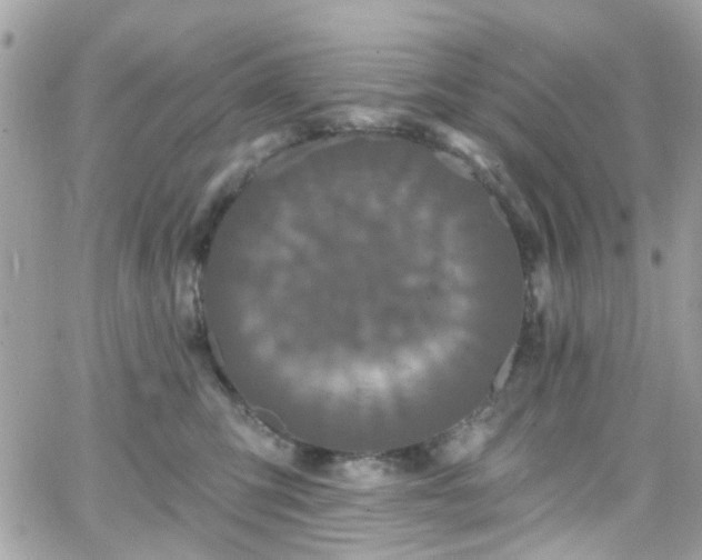 X0000066530423200603241406