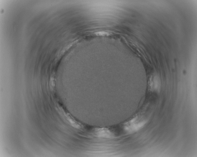 X0000066530424200603241406