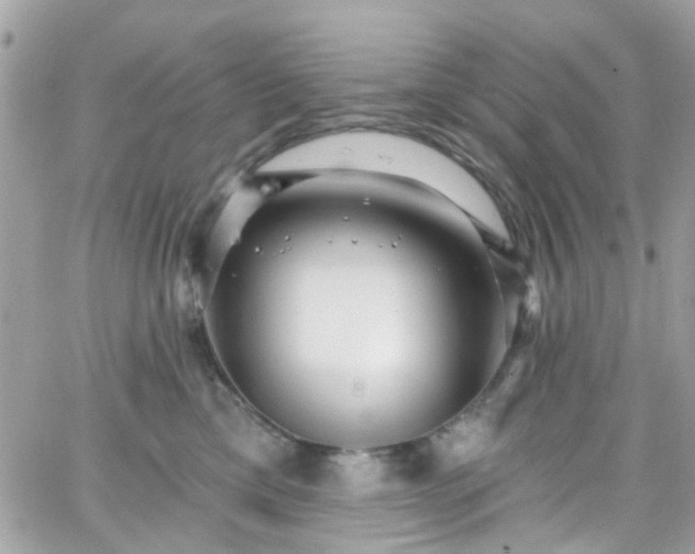 X0000066530425200603241406