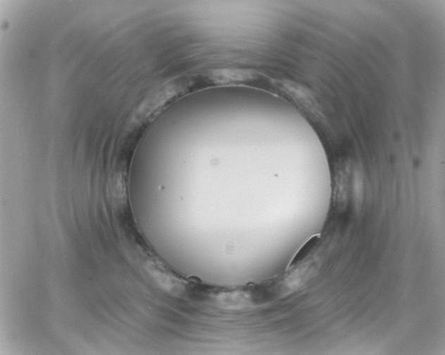 X0000066530426200603241406