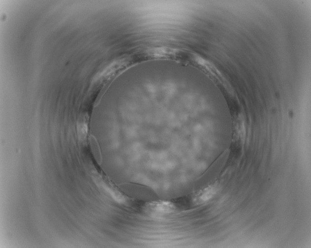 X0000066530427200603241406