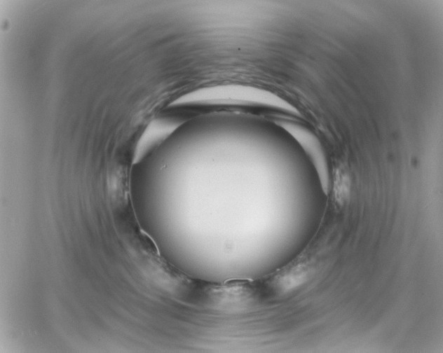 X0000066530428200603241406