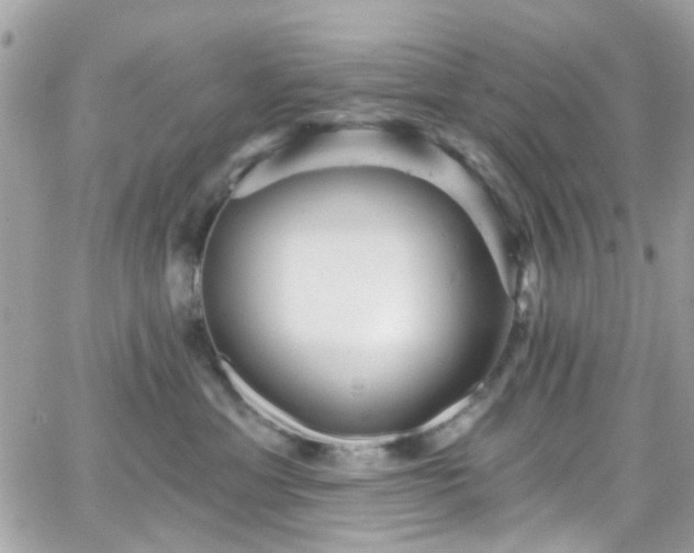 X0000066530429200603241406