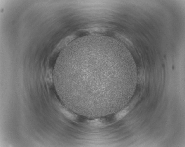 X0000066530430200603241406