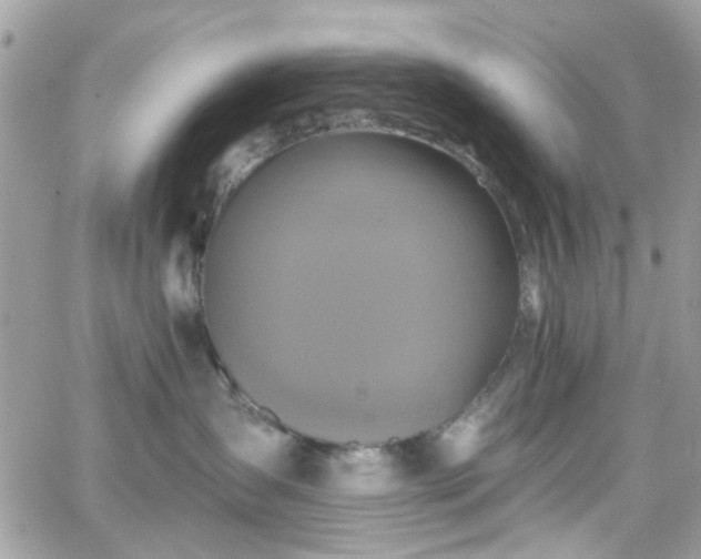 X0000066530431200603241406