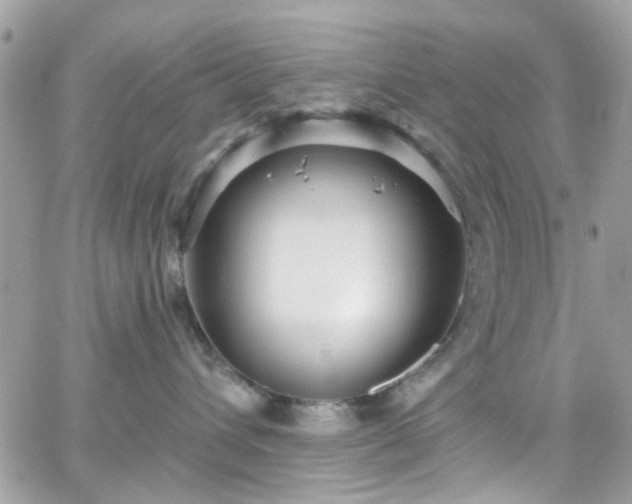 X0000066530432200603241406