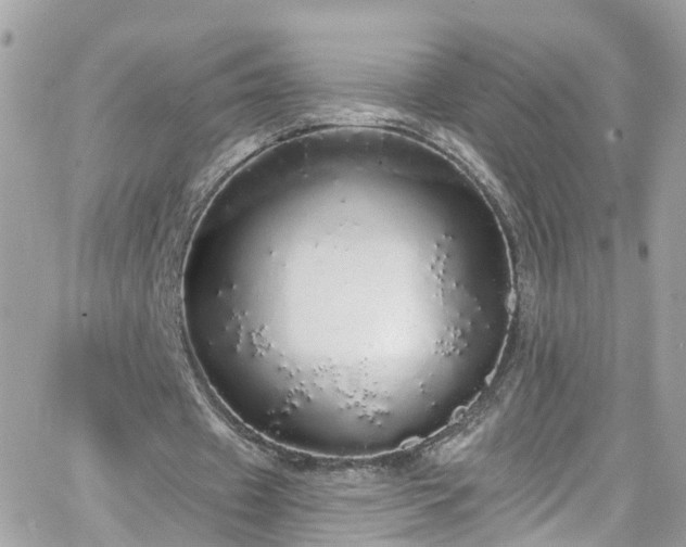 X0000066530433200603241405