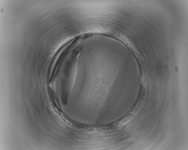 X0000066530434200603241405