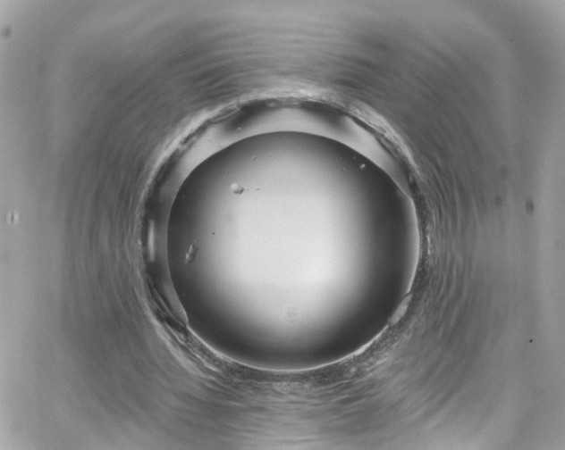 X0000066530436200603241405