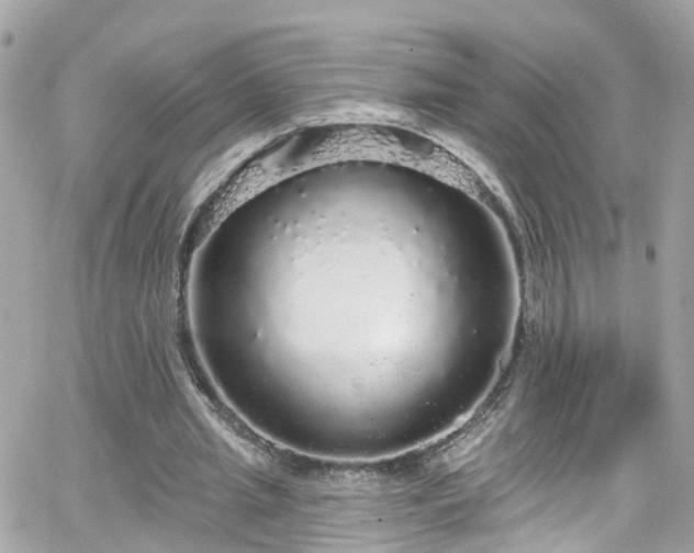 X0000066530437200603241405