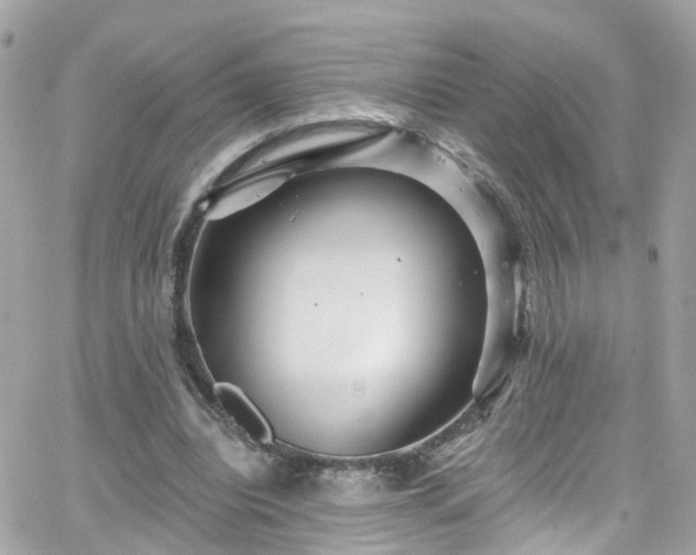 X0000066530440200603241405