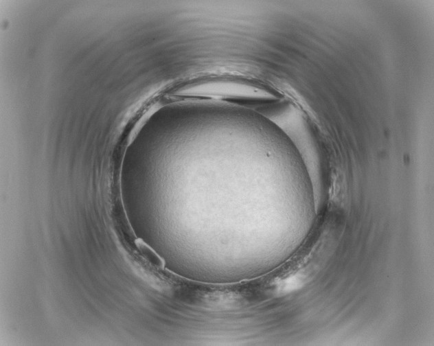 X0000066530444200603241406