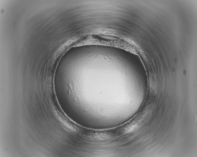 X0000066530445200603241406