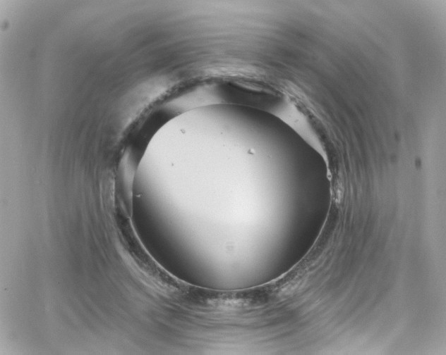 X0000066530448200603241406