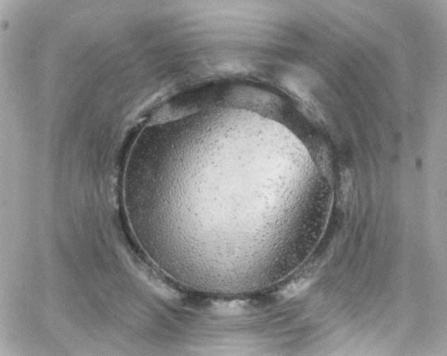 X0000066530450200603241406