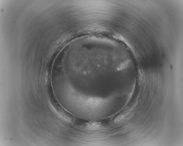 X0000066530451200603241406