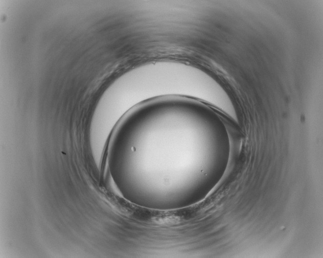 X0000066530452200603241406