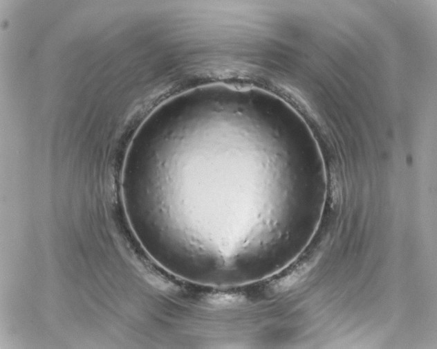 X0000066530453200603241406