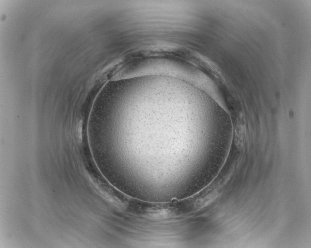 X0000066530454200603241406