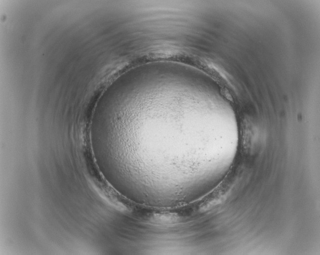 X0000066530455200603241406