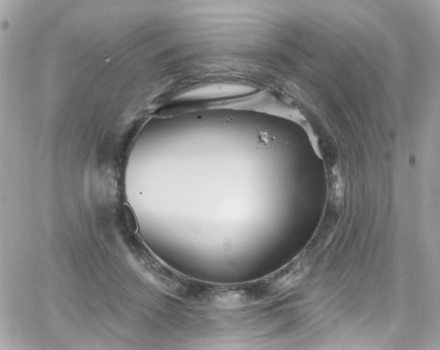 X0000066530456200603241406