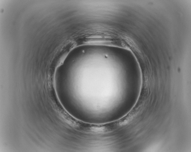 X0000066530457200603241406