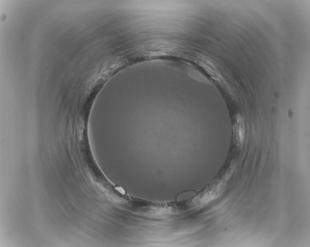 X0000066530458200603241406