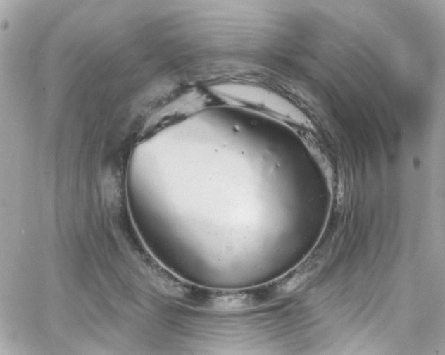 X0000066530461200603241406